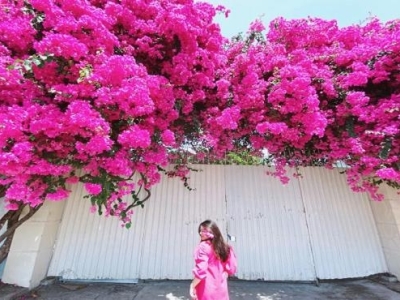 Sài Gòn <=> Vũng Tàu